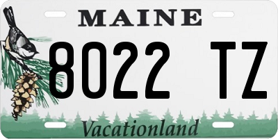 ME license plate 8022TZ