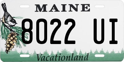 ME license plate 8022UI