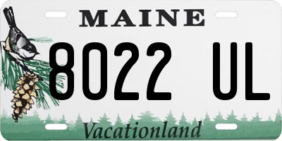 ME license plate 8022UL