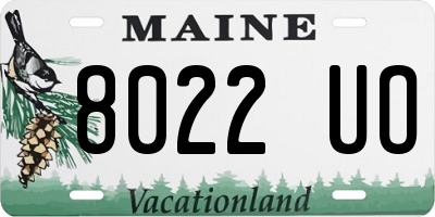 ME license plate 8022UO
