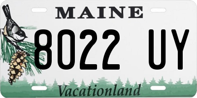 ME license plate 8022UY