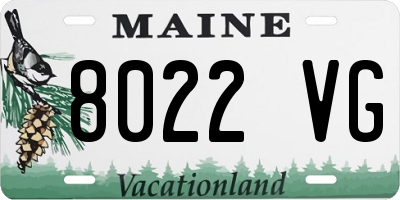 ME license plate 8022VG