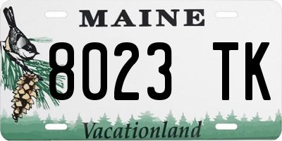 ME license plate 8023TK