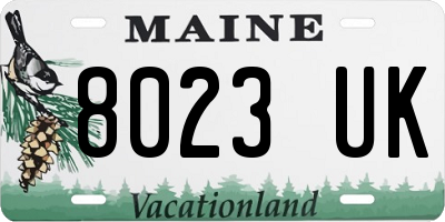 ME license plate 8023UK