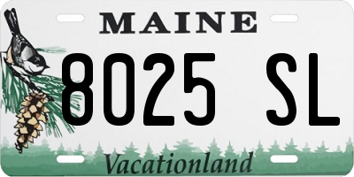 ME license plate 8025SL