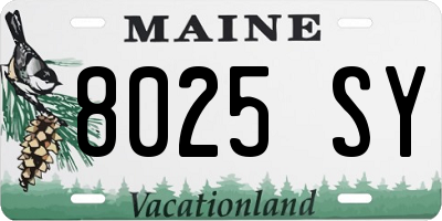 ME license plate 8025SY