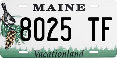 ME license plate 8025TF