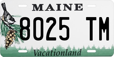 ME license plate 8025TM