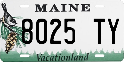 ME license plate 8025TY