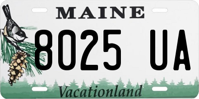 ME license plate 8025UA