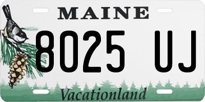 ME license plate 8025UJ