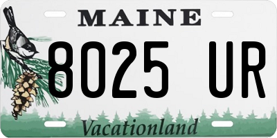 ME license plate 8025UR