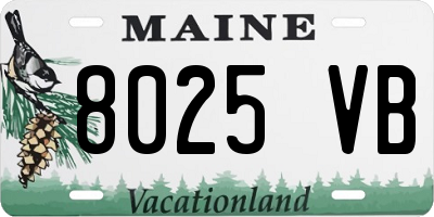 ME license plate 8025VB