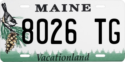 ME license plate 8026TG