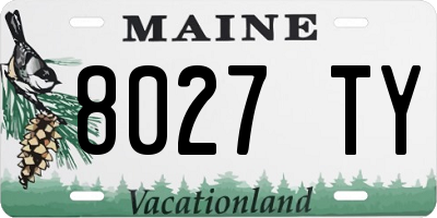 ME license plate 8027TY