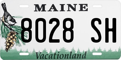 ME license plate 8028SH