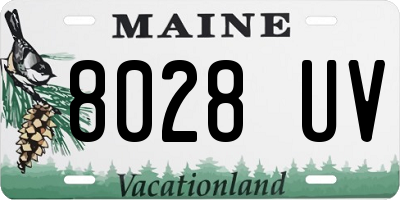 ME license plate 8028UV