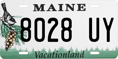 ME license plate 8028UY