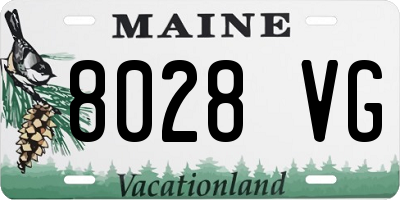 ME license plate 8028VG