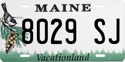 ME license plate 8029SJ