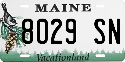 ME license plate 8029SN