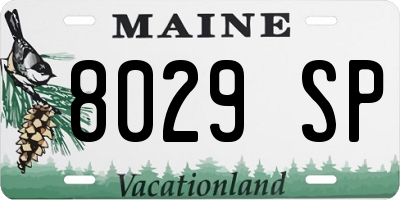 ME license plate 8029SP
