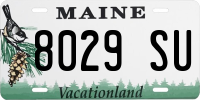 ME license plate 8029SU