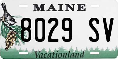 ME license plate 8029SV