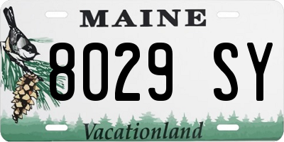ME license plate 8029SY