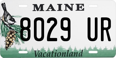 ME license plate 8029UR