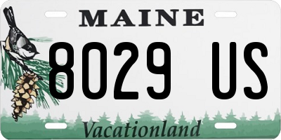 ME license plate 8029US