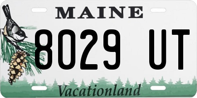 ME license plate 8029UT
