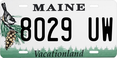 ME license plate 8029UW