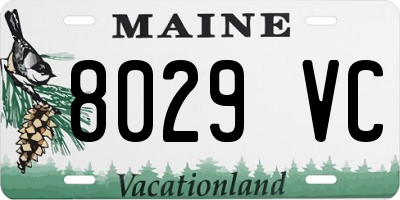 ME license plate 8029VC
