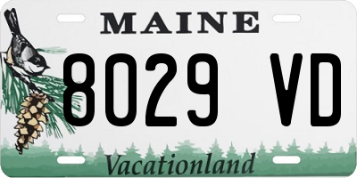 ME license plate 8029VD
