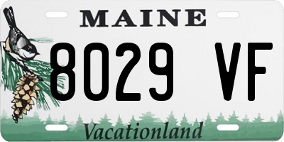 ME license plate 8029VF