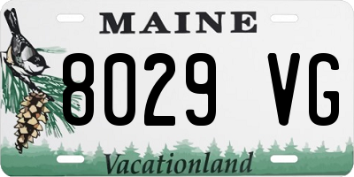 ME license plate 8029VG