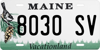 ME license plate 8030SV
