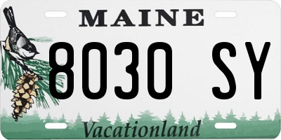 ME license plate 8030SY