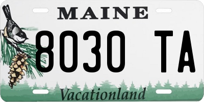 ME license plate 8030TA