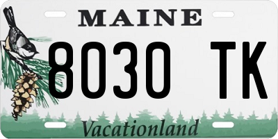 ME license plate 8030TK