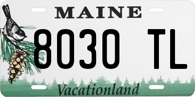 ME license plate 8030TL