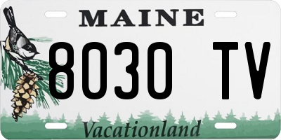 ME license plate 8030TV