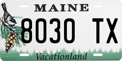 ME license plate 8030TX