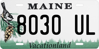 ME license plate 8030UL