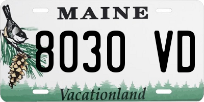 ME license plate 8030VD