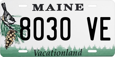 ME license plate 8030VE