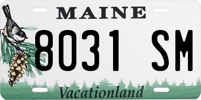 ME license plate 8031SM