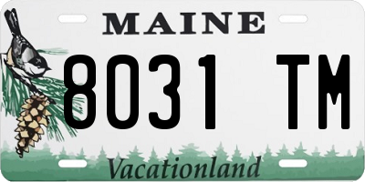 ME license plate 8031TM