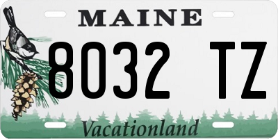 ME license plate 8032TZ